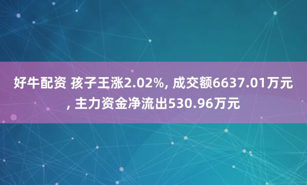 好牛配资 孩子王涨2.02%, 成交额6637.01万元, 主力资金净流出530.96万元
