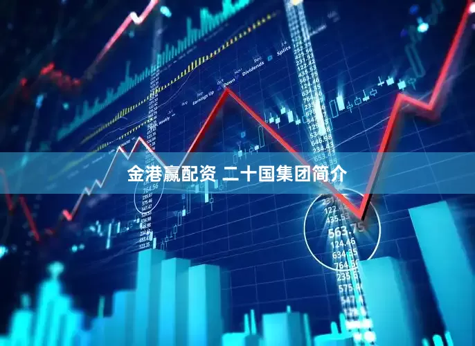 金港赢配资 二十国集团简介