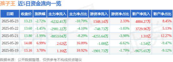 星火牛 股票行情快报：孩子王（301078）5月23日主力资金净卖出6232.41万元
