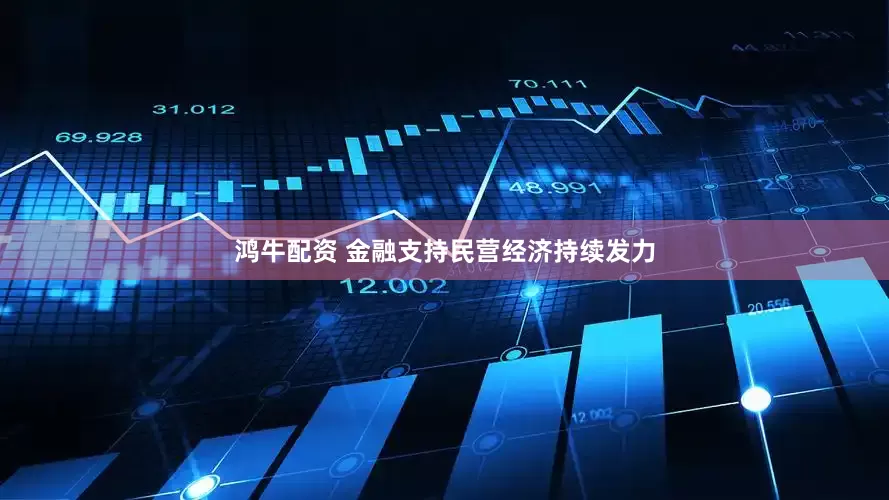 鸿牛配资 金融支持民营经济持续发力