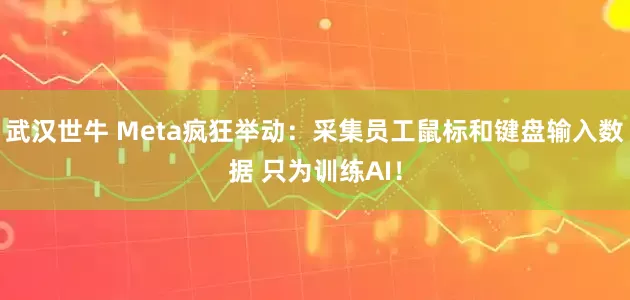 武汉世牛 Meta疯狂举动：采集员工鼠标和键盘输入数据 只为训练AI！